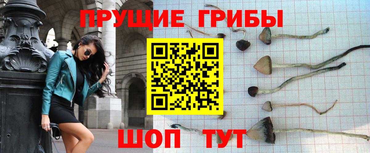 Псилоцибиновые грибы MAGIC MUSHROOMS  Вход с VPN  Выборг 