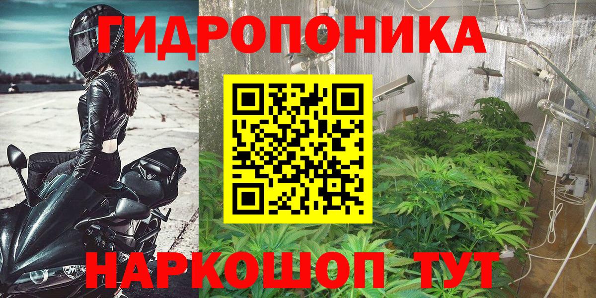 Выборг  МАРИХУАНА White Widow  Вход с VPN  Канабис THC 21%  Канабис индика  Шишки марихуана AK-47 